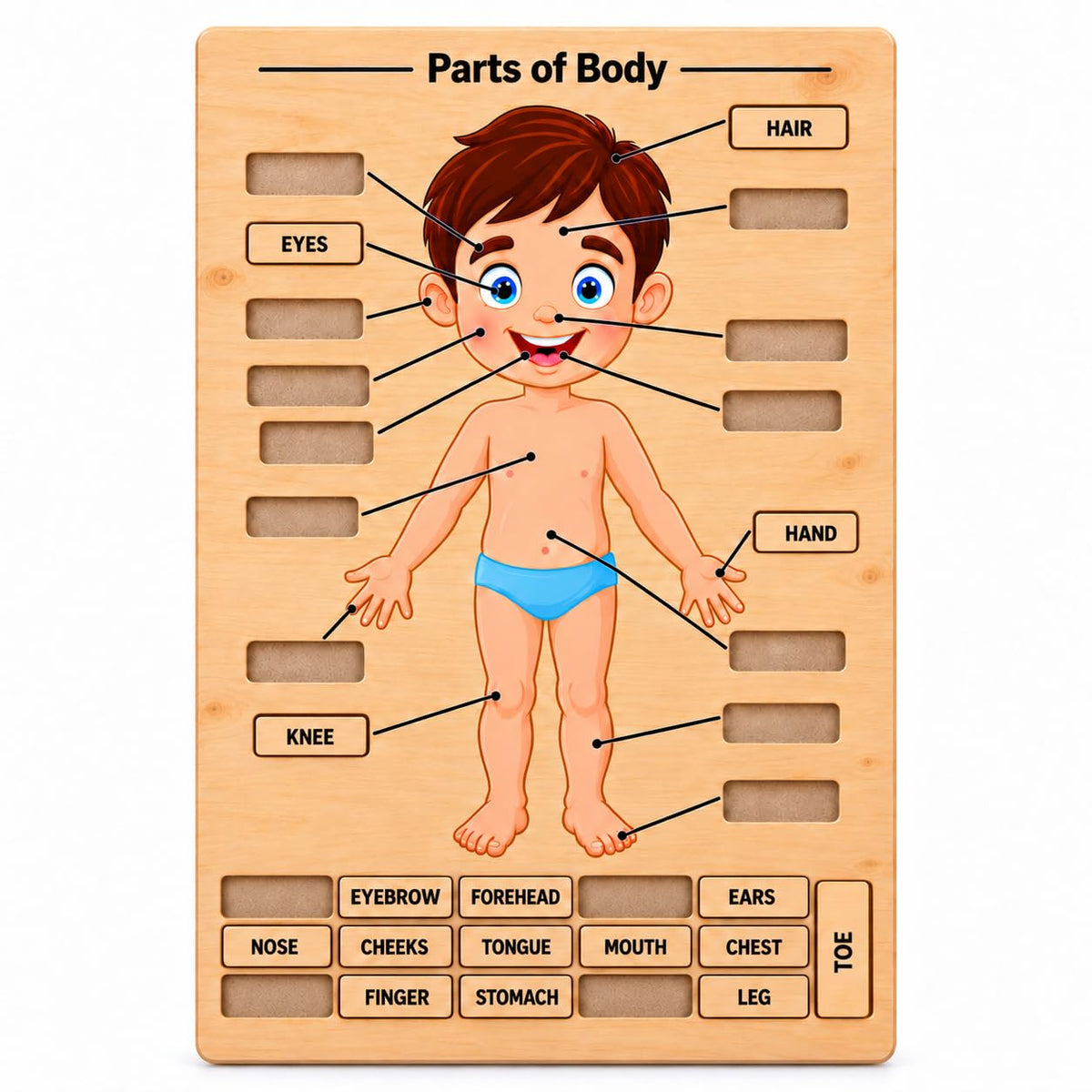 Zesta Body Parts Wooden Matching Puzzle – 16 Labels – image 1