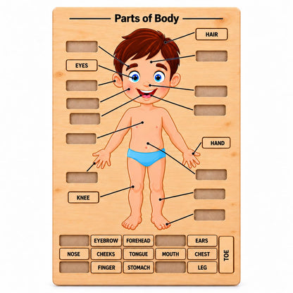 Zesta Body Parts Wooden Matching Puzzle – 16 Labels – image 1