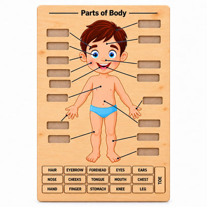 Zesta Body Parts Wooden Matching Puzzle – 16 Labels – image 2