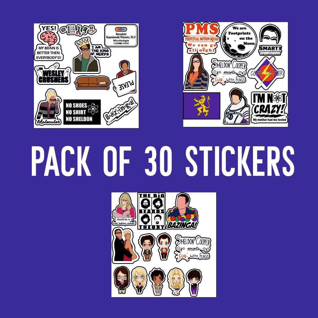 Big Bang Theory Waterproof Sticker (pack of 30).